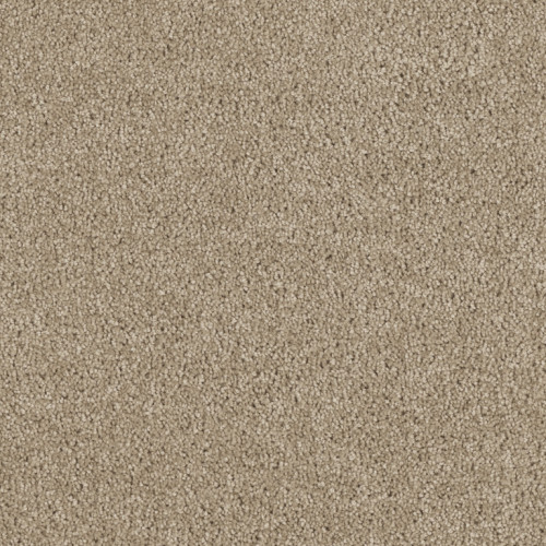 HOLLYWOOD - Warm Teak