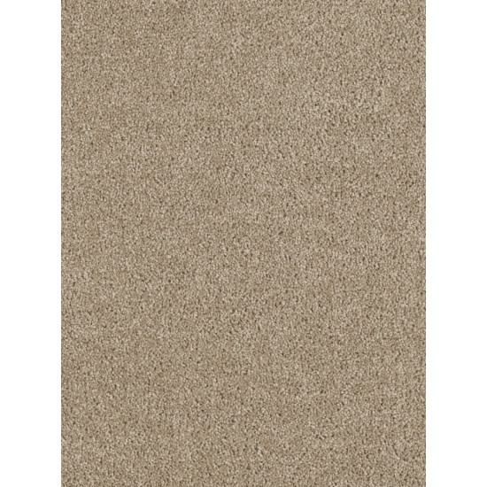 HOLLYWOOD - Warm Teak HOLLYWOOD - Warm Teak