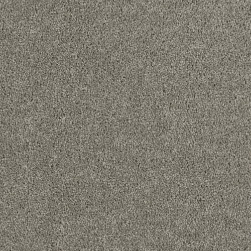 HOLLYWOOD - Dark Platinum