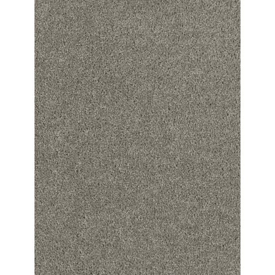 HOLLYWOOD - Dark Platinum HOLLYWOOD - Dark Platinum
