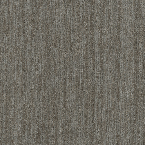 BAJA - Mesquite