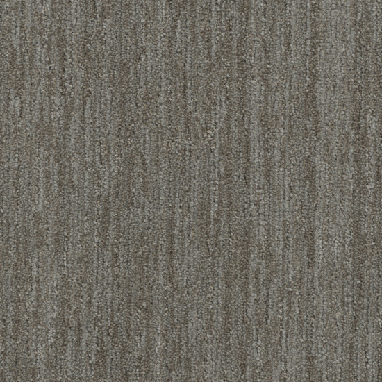 BAJA - Mesquite BAJA - Mesquite