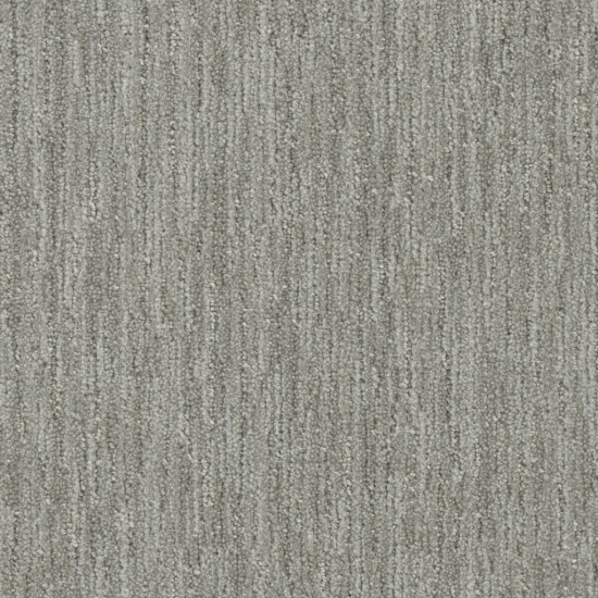 BAJA - Ambrosia BAJA - Ambrosia