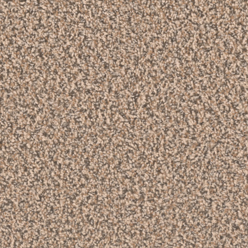 SP250 - Shoreline