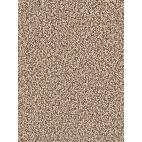 SP250 - Shoreline SP250 - Shoreline