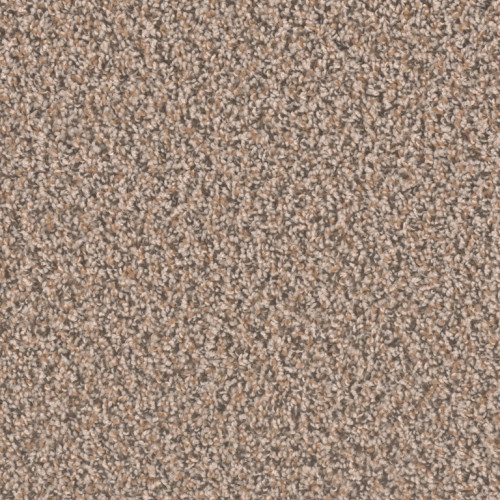 SP250 - Gingerbread