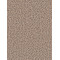 SP250 - Gingerbread