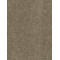 SP250 - Honey Beige