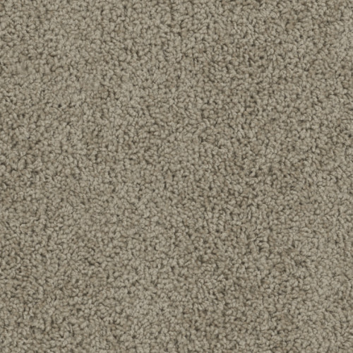 SP250 - Doeskin