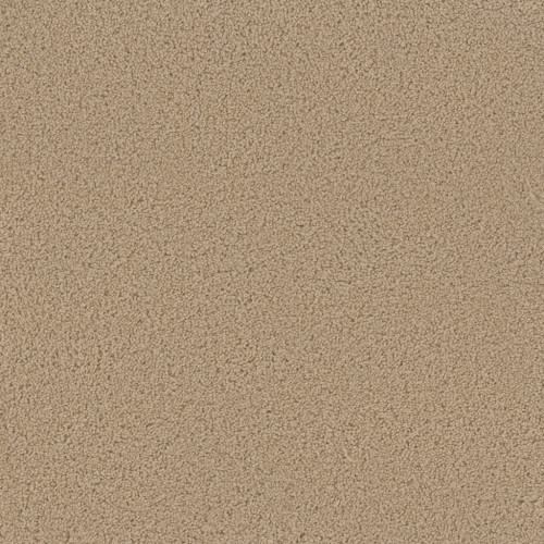 SP250 - Cookie Dough