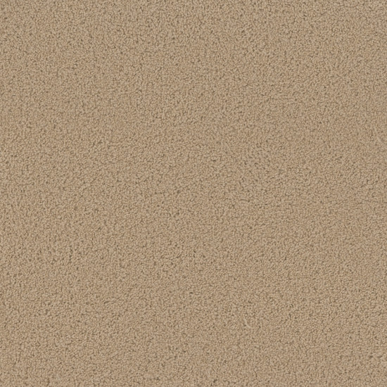 SP250 - Cookie Dough SP250 - Cookie Dough