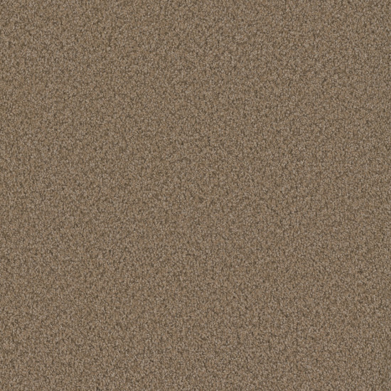 SP250 - Claystone SP250 - Claystone