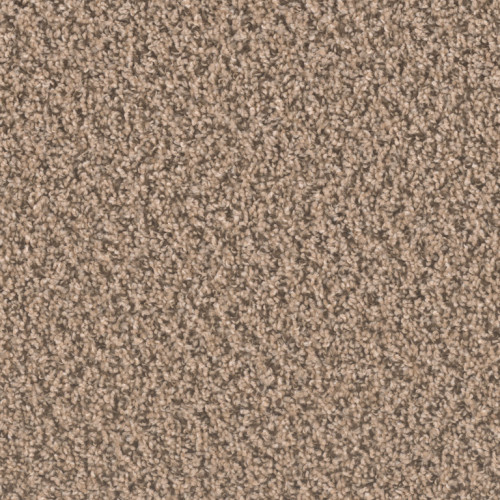 SP250 - Fossil