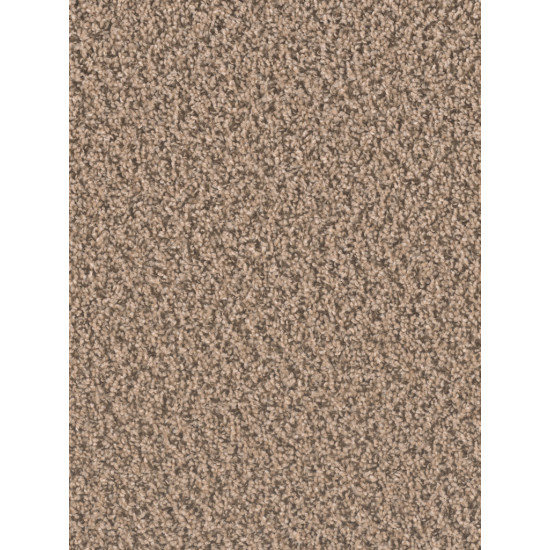 SP250 - Fossil SP250 - Fossil