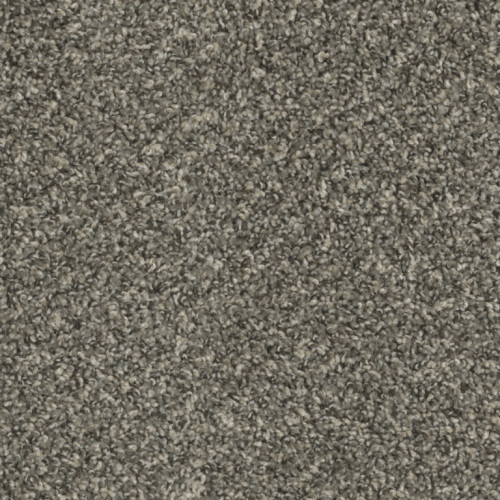 SP250 - Ironside