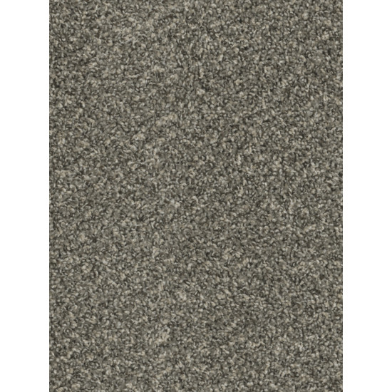 SP250 - Ironside SP250 - Ironside