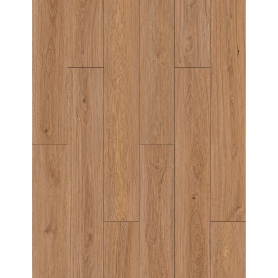 Resurge-1304 Winston Oak Resurge-1304 Winston Oak