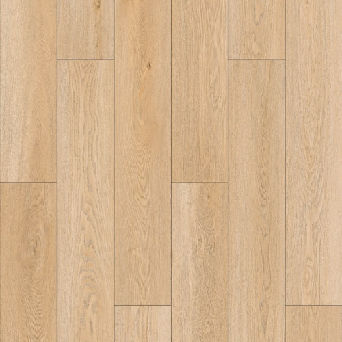Resurge-1308 Sylvan Oak
