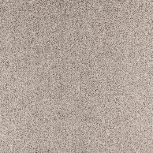 Paramount-Supreme Neutral