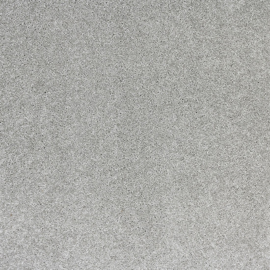 Radiant Beauty-Gray Dawn Radiant Beauty-Gray Dawn