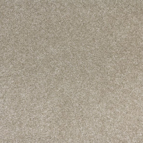 Radiant Beauty-Taupe Tones