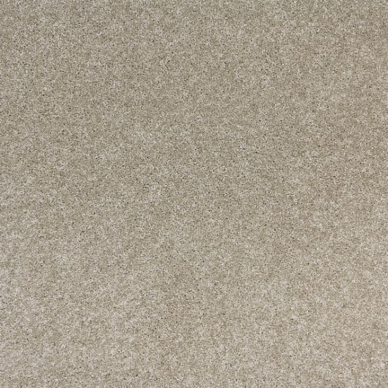 Radiant Beauty-Taupe Tones Radiant Beauty-Taupe Tones