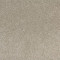 Radiant Beauty-Taupe Tones