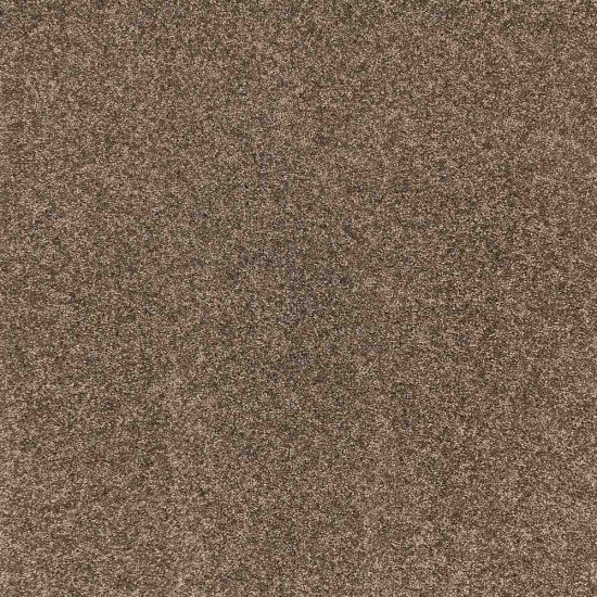 Radiant Beauty-Burnished Radiant Beauty-Burnished