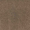 Radiant Beauty-Burnished
