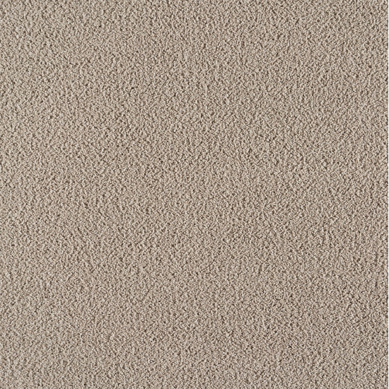 Vibrant-Bear Rug Vibrant-Bear Rug