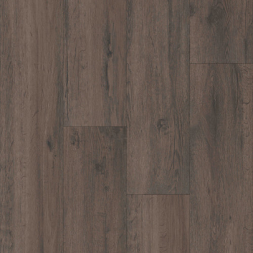 Everlasting XL-Cappuccino Oak