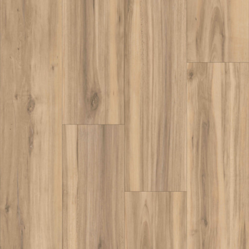 Everlasting XL-New England Maple