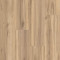 Everlasting XL-New England Maple