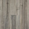 Irresistible-Spalted Maple