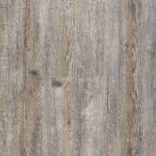 Classic-Bur Oak