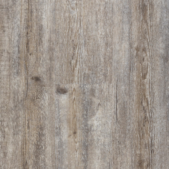 Classic-Bur Oak Classic-Bur Oak