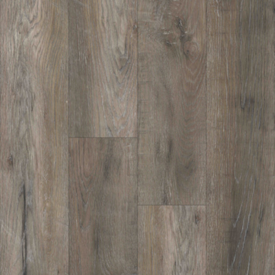 Everlasting-Canyon Oak Everlasting-Canyon Oak