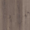 Everlasting-Heritage Wood
