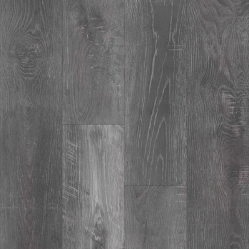 Everlasting-Bold Wood