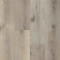 Everlasting-Laurel Oak