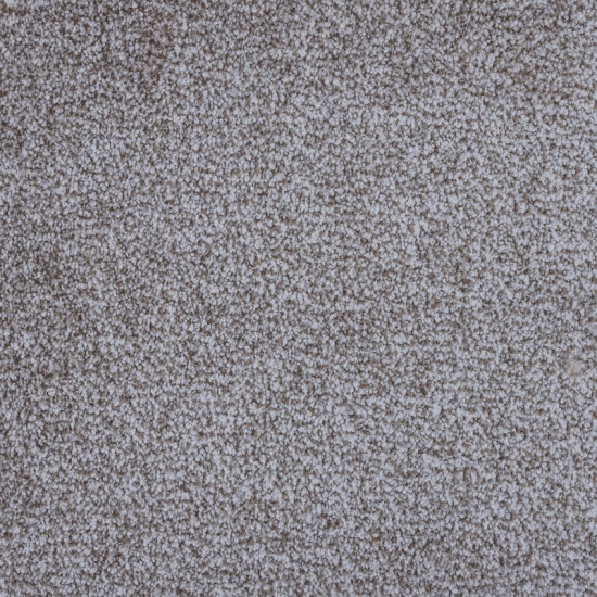 Excessive-Taupe Excessive-Taupe