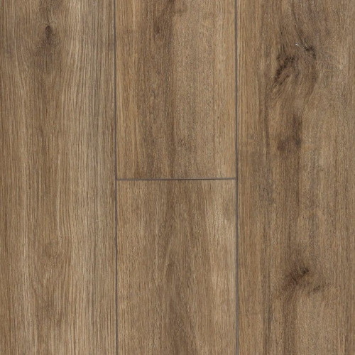 Stateside-Common Oak