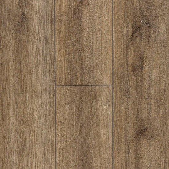 Stateside-Common Oak