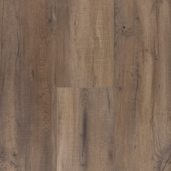 Titanium Plus-Allure Hazel Titanium Plus-Allure Hazel