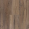 Titanium Plus-Allure Hazel