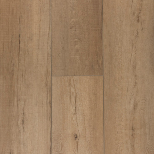 Titanium Plus-Chic Beige
