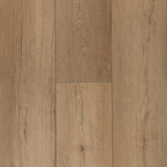 Titanium Plus-Chic Beige Titanium Plus-Chic Beige
