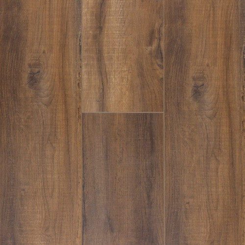 Titanium Plus-Electric Brown