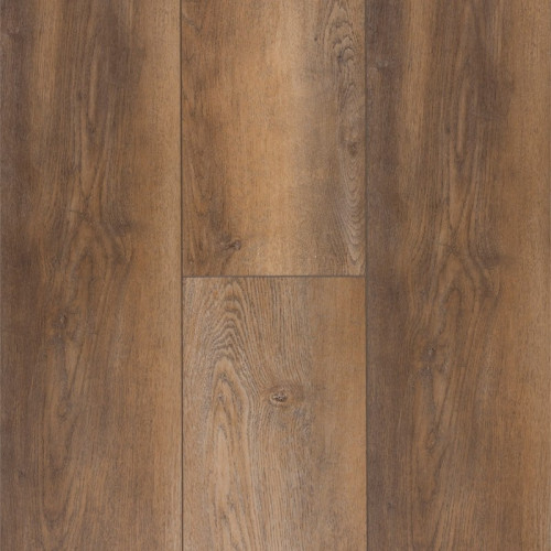 Titanium Plus-Sessile Oak