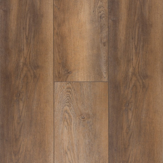Titanium Plus-Sessile Oak